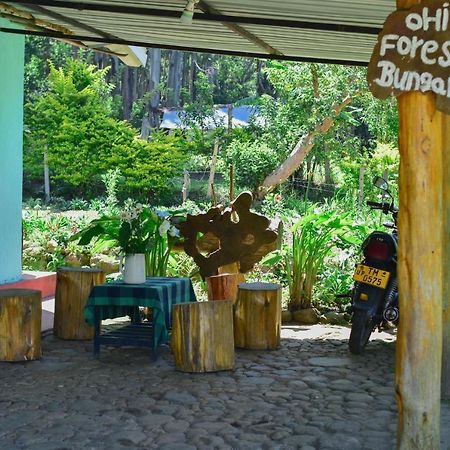 Ohiya Forest Lodge Exterior photo
