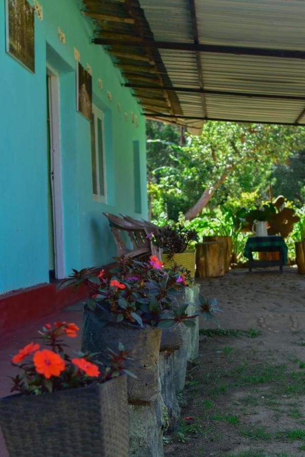 Ohiya Forest Lodge Exterior photo
