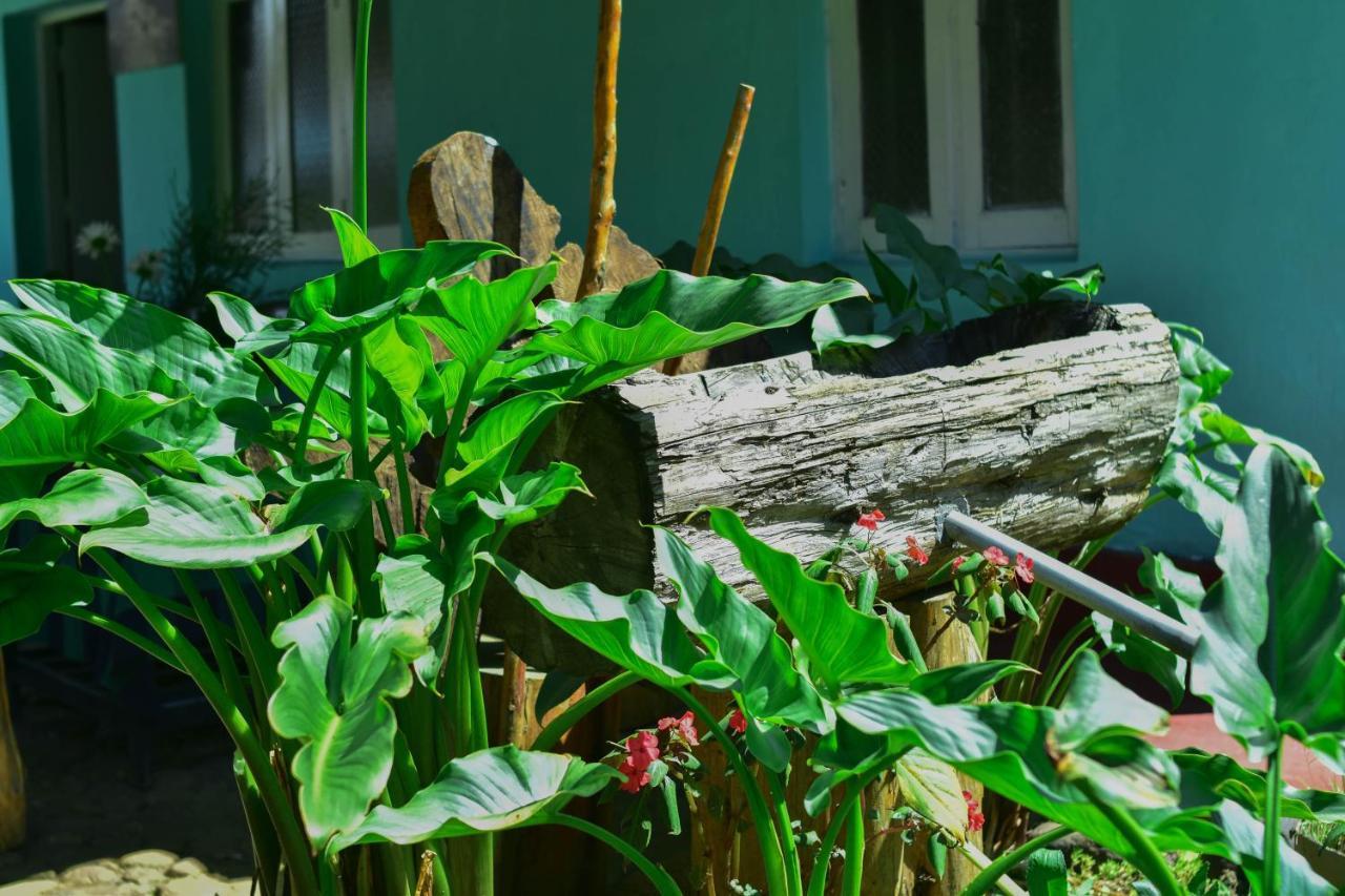 Ohiya Forest Lodge Exterior photo