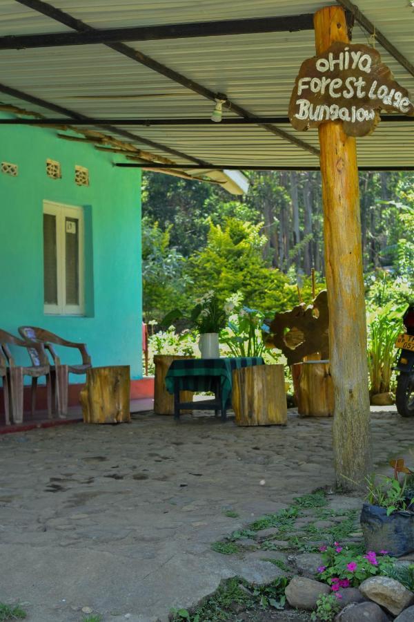 Ohiya Forest Lodge Exterior photo