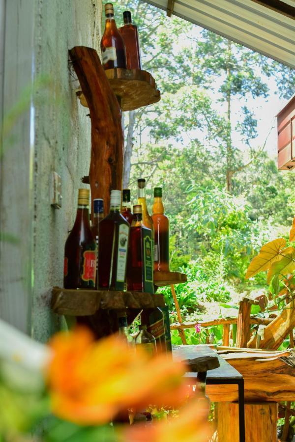 Ohiya Forest Lodge Exterior photo