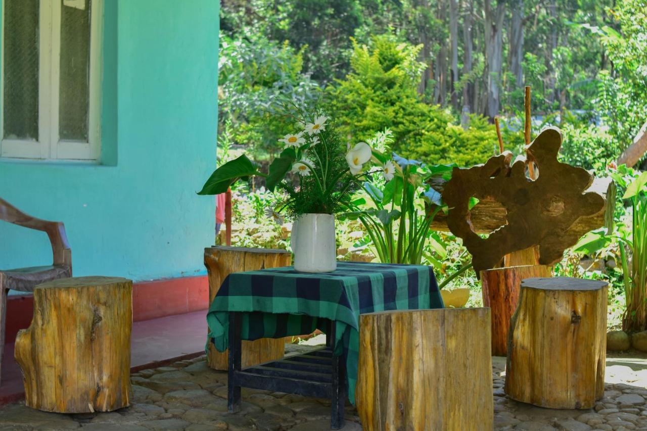 Ohiya Forest Lodge Exterior photo