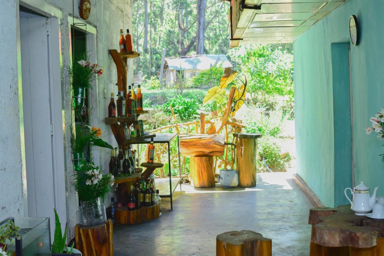 Ohiya Forest Lodge Exterior photo